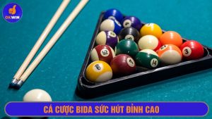 Cá cược bida