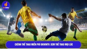 Kênh thể thao miễn phí OKWINTV