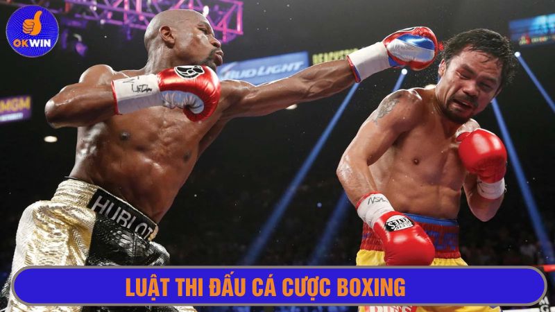 Những nguyên tắc thi đấu boxing cần nắm rõ