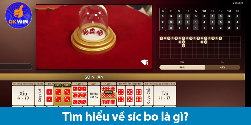 Sic bo là gì? Các loại cược và bí quyết chơi Tài xỉu sic bo 2025